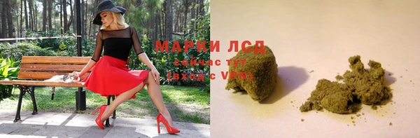 сатива Богородицк