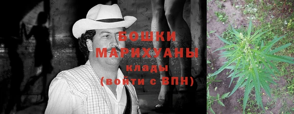 прущая мука Верея