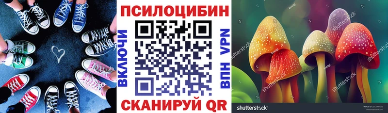 Псилоцибиновые грибы Psilocybe  Данков 